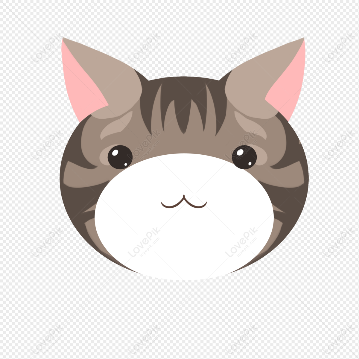 Beautiful Short Cat Png Transparent Image And Clipart Image For Free 