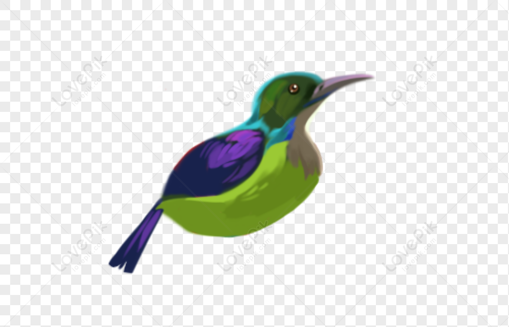 2 Birds PNG Images With Transparent Background | Free Download On Lovepik
