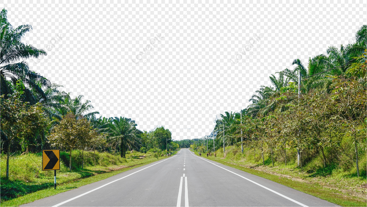 Green road, road trees, dark road, light road png free download