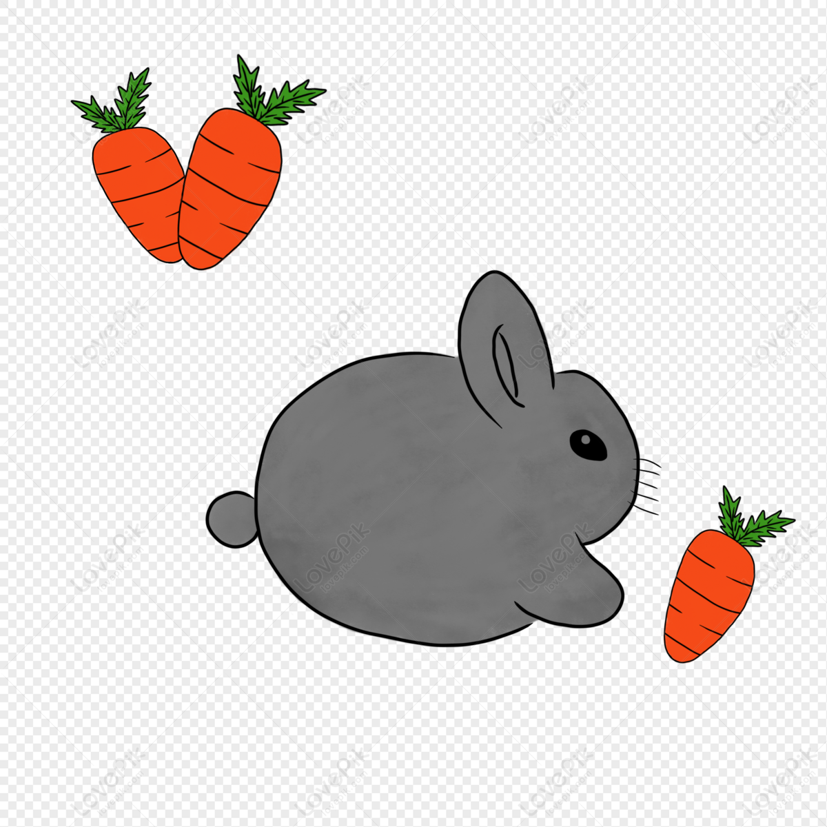 Rabbit Eating Carrot PNG Free Download And Clipart Image For Free Download  - Lovepik | 401206503