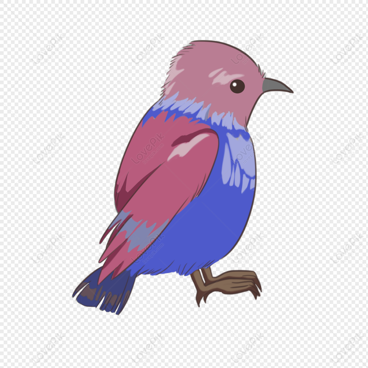 Side Bird 1 PNG Transparent Background And Clipart Image For Free Download  - Lovepik | 401230810