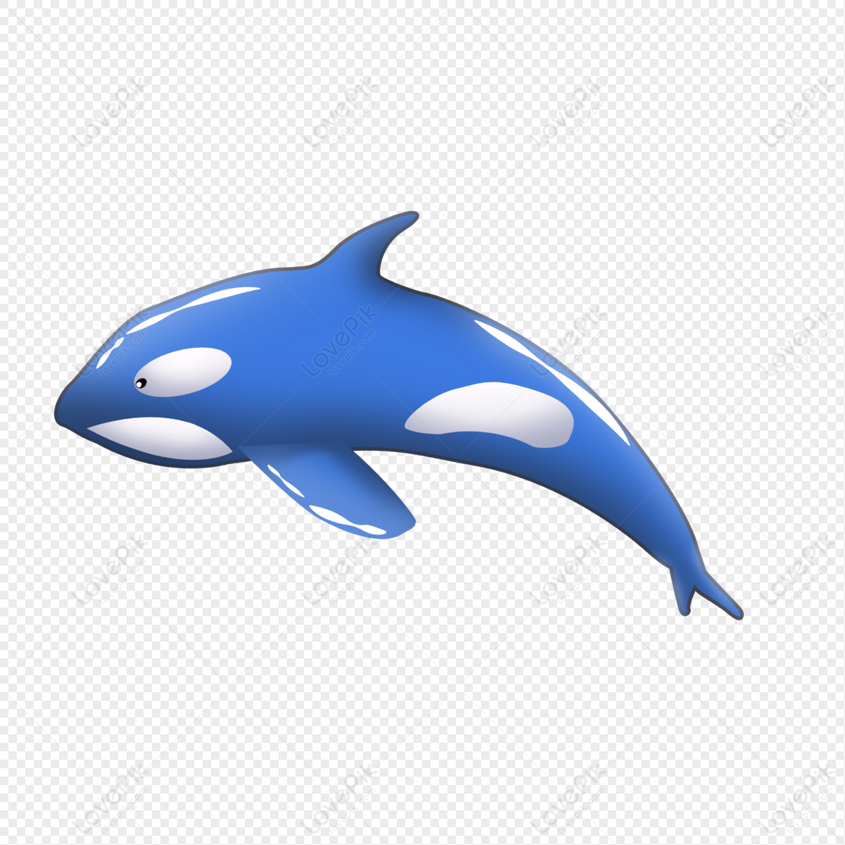 Dolphin fish png images