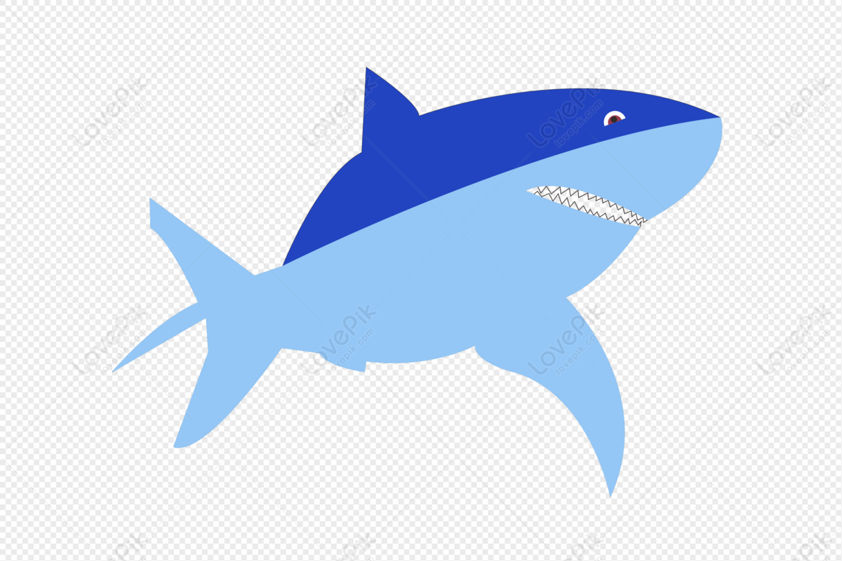 Cartoon Shark PNG Transparent Image And Clipart Image For Free Download -  Lovepik | 401231917