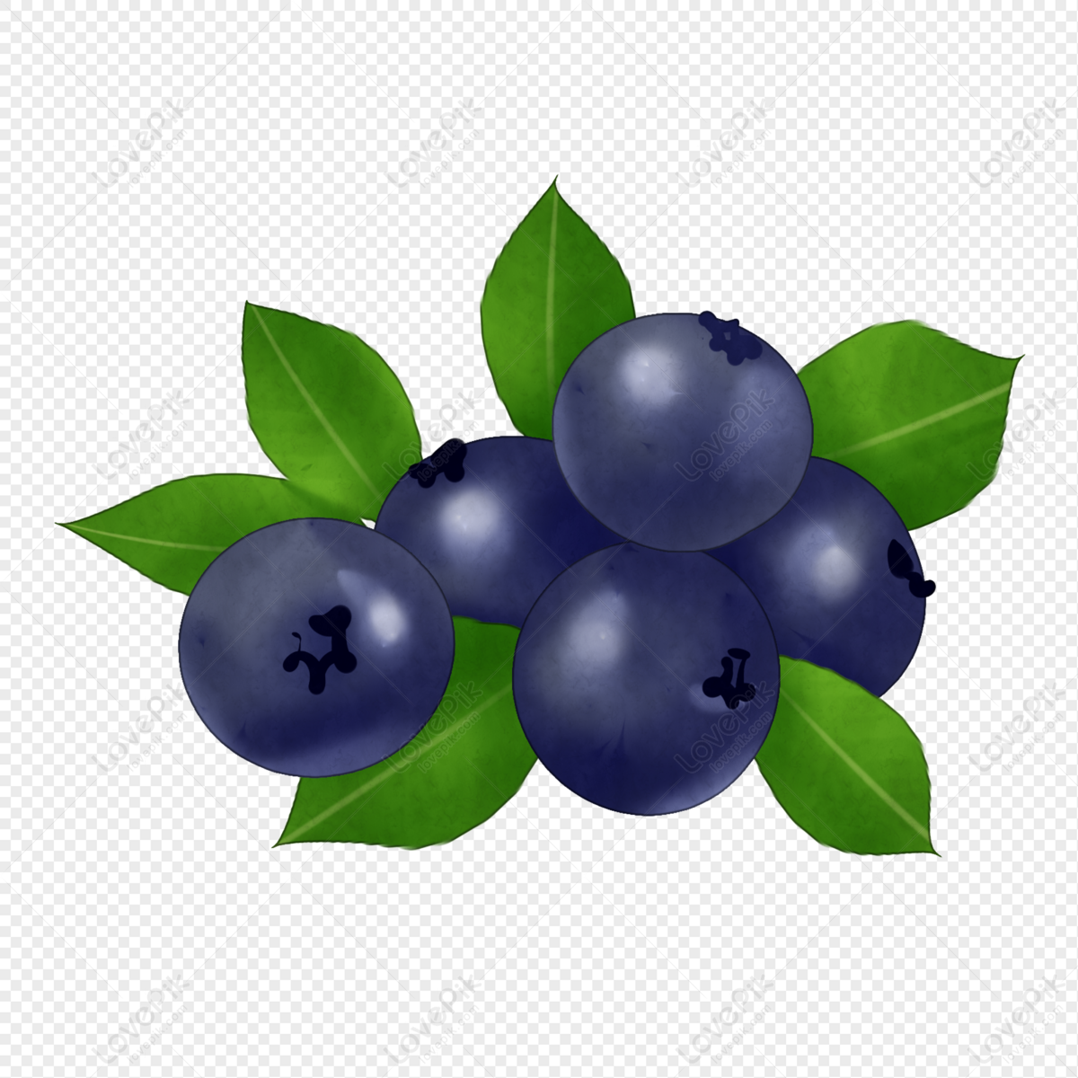 blueberries clipart