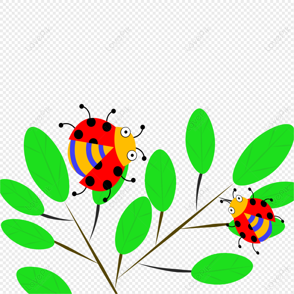 Ladybug PNG , Insect, Sete Material De Joaninha Estrela, Elementos Joaninha  PNG Imagem para download gratuito