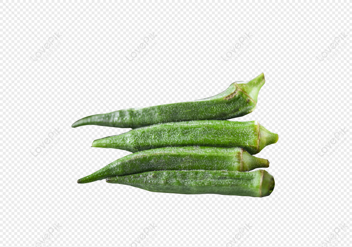 Okra PNG Transparent Background And Clipart Image For Free Download ...