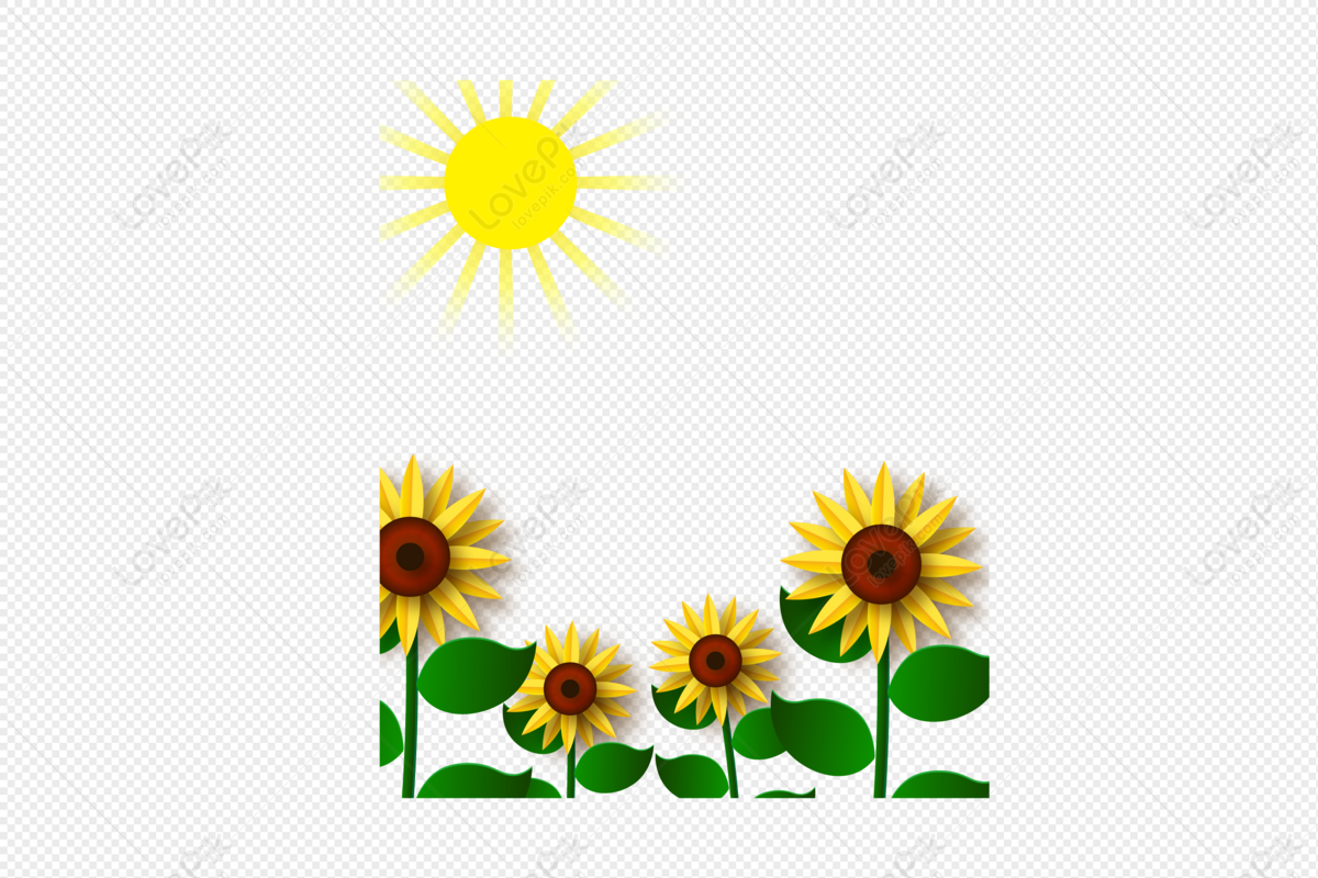 Girasol En El Sol Es Un Elemento Vectorial PNG Imágenes Gratis - Lovepik