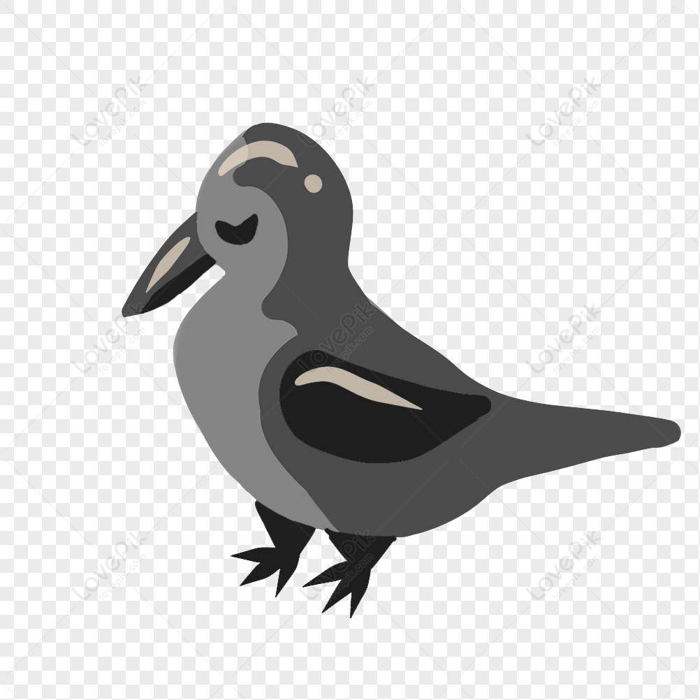 Cartoon Grey Crow Illustration PNG Hd Transparent Image And Clipart Image  For Free Download - Lovepik | 401268194