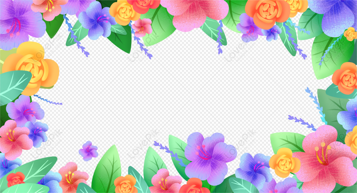 colorful flower border