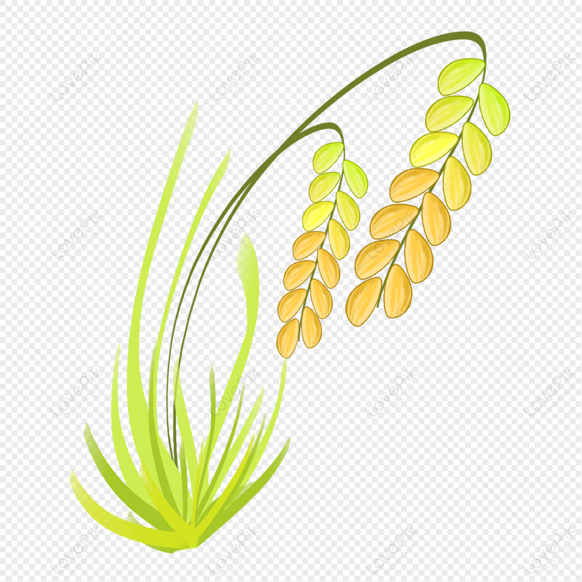 Paddy Circular Wheat Logo, Logo, Paddy Rice, Wheat Ear PNG and Vector with  Transparent Background for Free Download