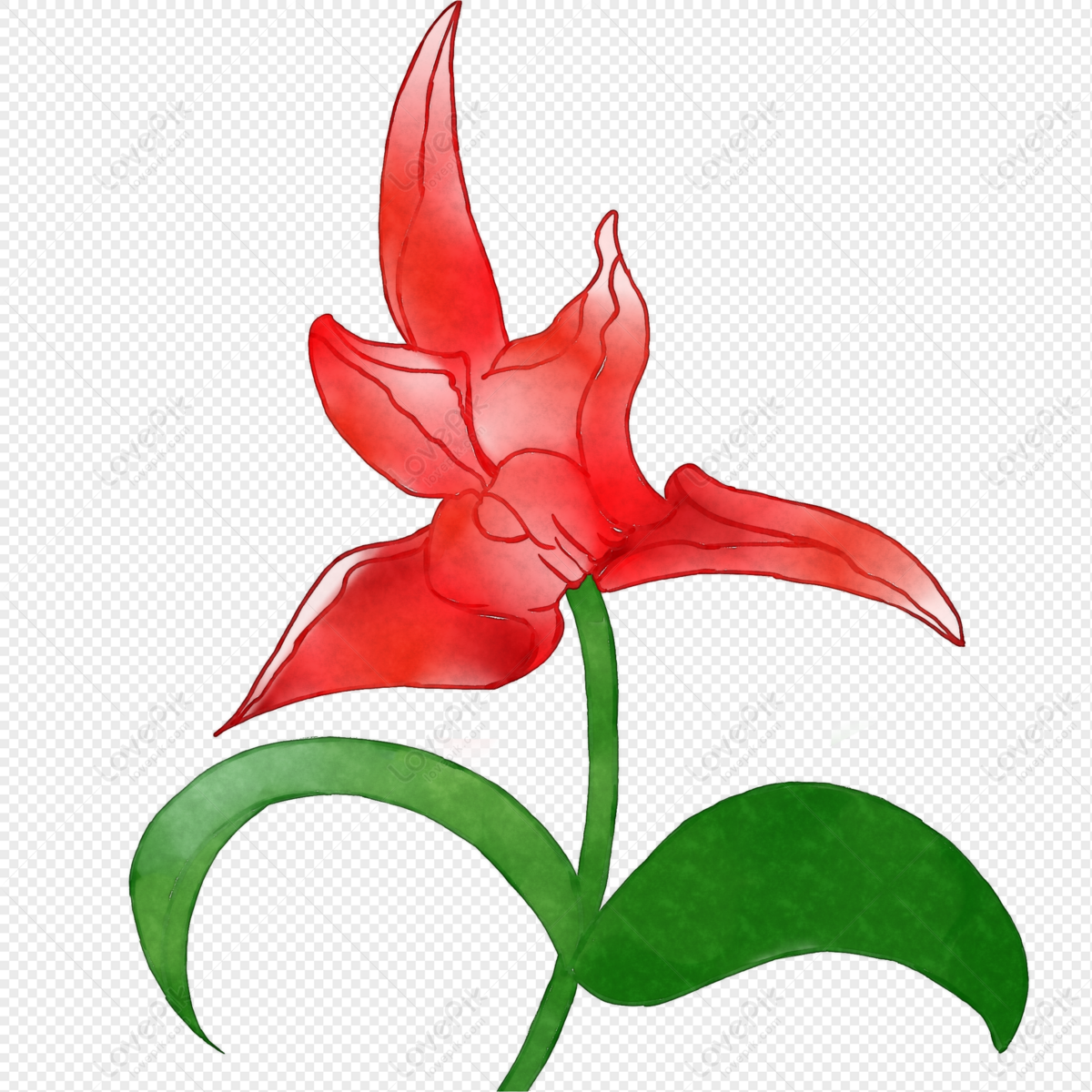 Watercolor Flower, Art Flower, Flower Transparent, Red Watercolor PNG ...