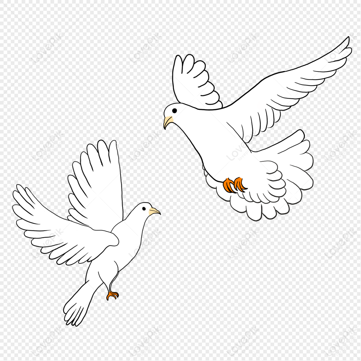 Cute Pigeon Drawing - Pigeon - Sticker | TeePublic