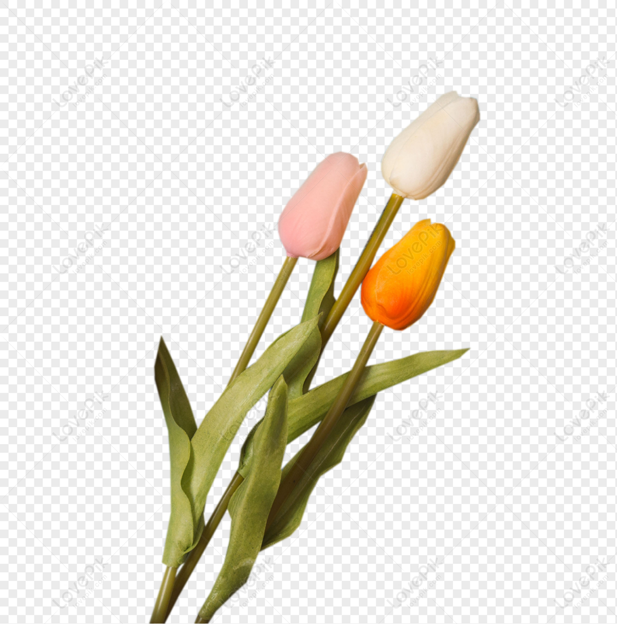 free clipart tulip bouquets