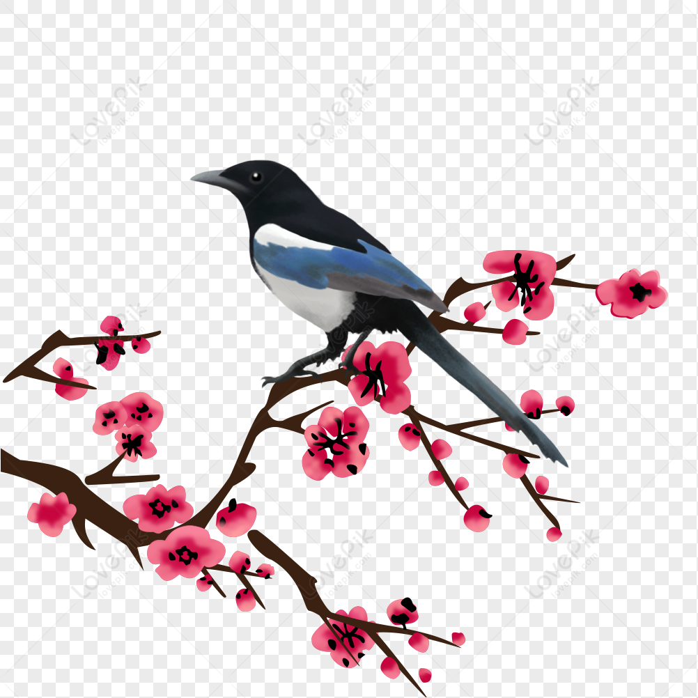 梅花與鳥PNG圖案素材免費下載，可愛卡通圖片，尺寸1900 × 2202px - Lovepik