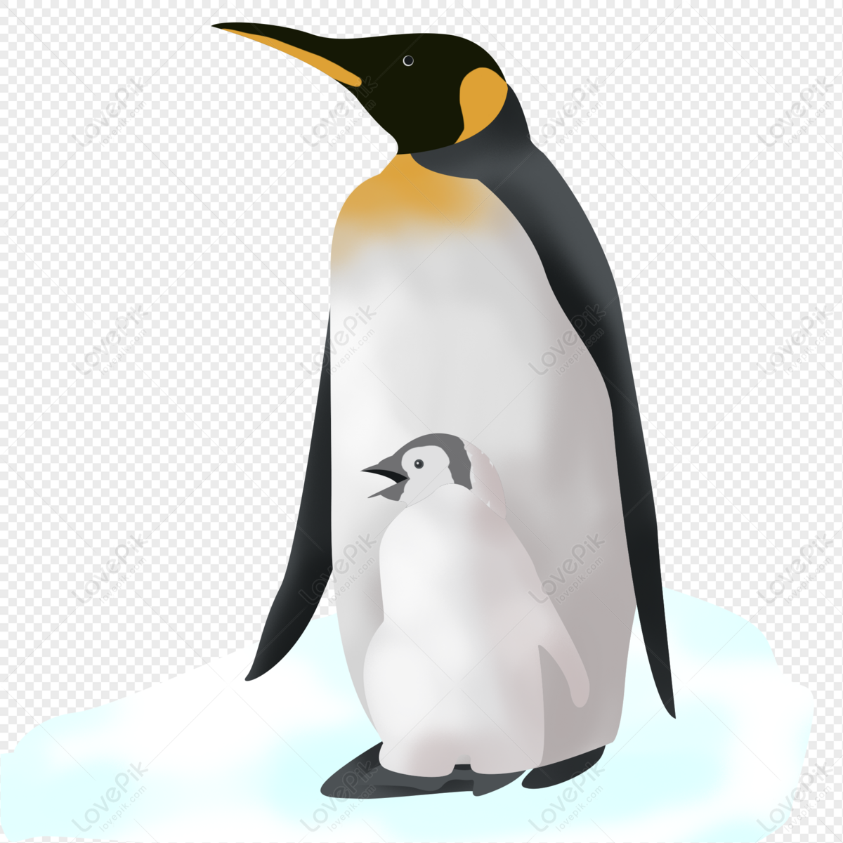 Cartoon Penguin PNG Free Download And Clipart Image For Free Download -  Lovepik | 401299613