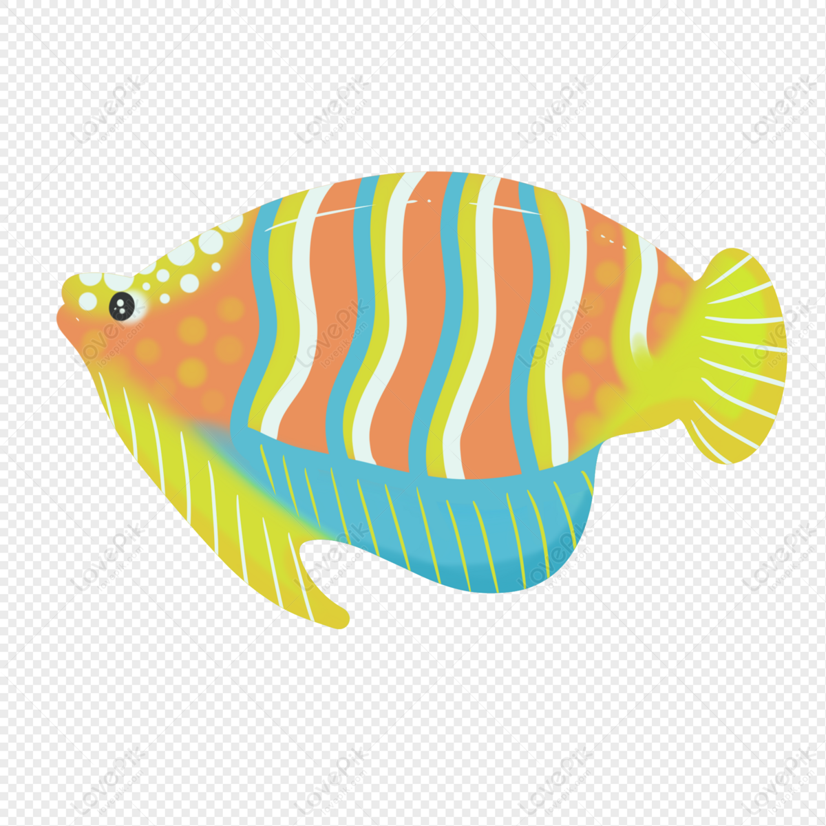 Colored Fish, Colorful Fish, Fish Vector, Exotic Fish PNG Picture And  Clipart Image For Free Download - Lovepik