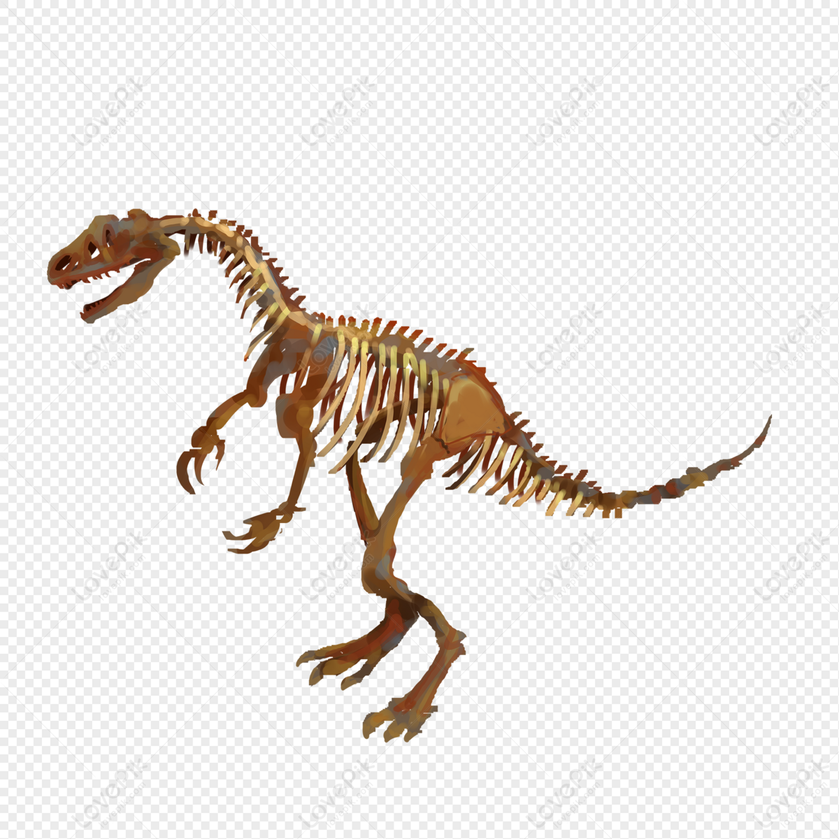 Elemento Libre De Fósiles De Hueso De Dinosaurio PNG Imágenes Gratis -  Lovepik