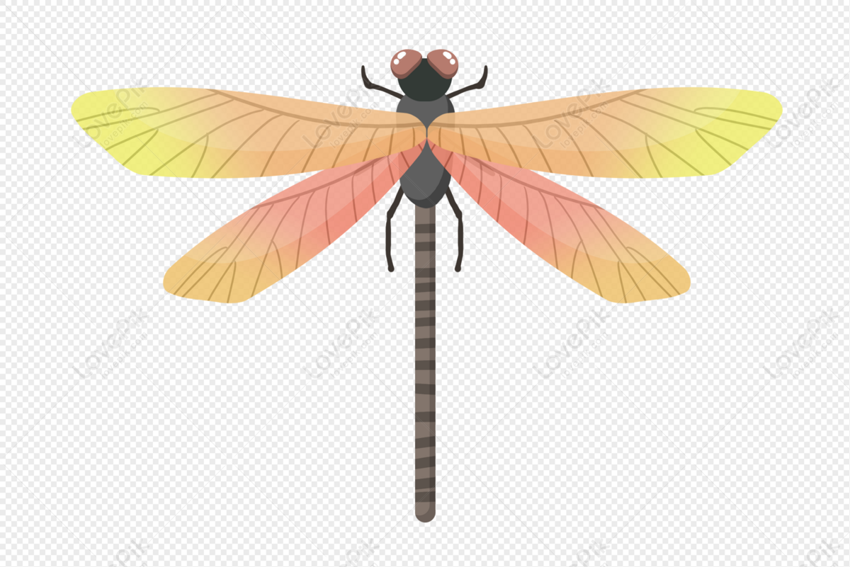 Dragonfly Free PNG And Clipart Image For Free Download - Lovepik ...