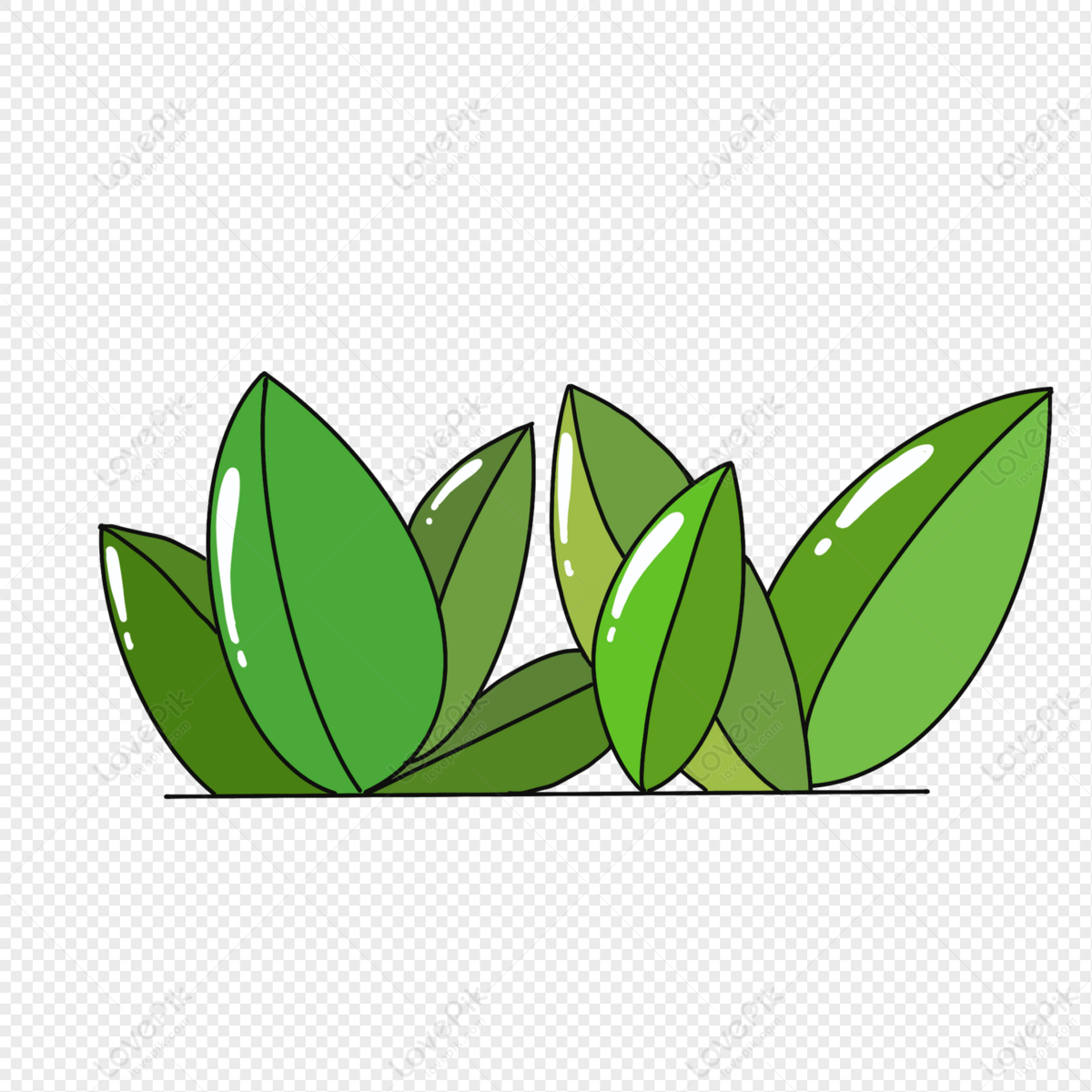 green leaf png