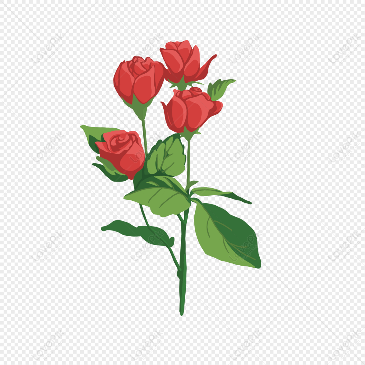 Vector illustration, isolated red rose flower with leavs, outline hand  painted drawing Stock Vector | Adobe Stock