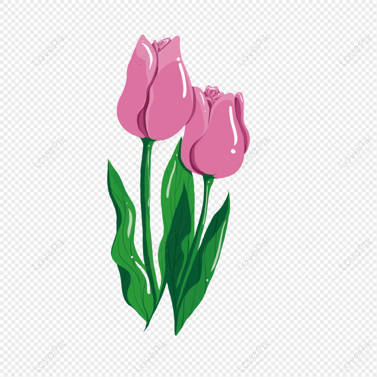 Hình ảnh Vẽ Tay Hoa Tulip đỏ PNG Miễn Phí Tải Về - Lovepik