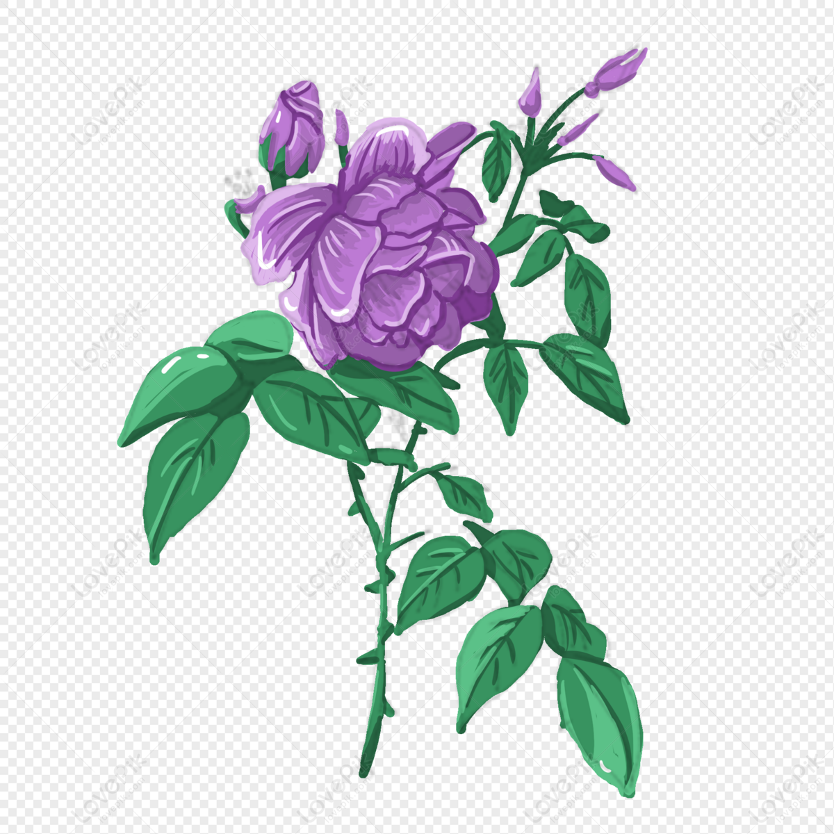 Flores Pintadas A Mano De Color Morado PNG Imágenes Gratis - Lovepik