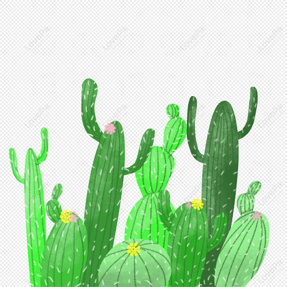 Vector Cactus PNG , Cacto Do Deserto, Pintado A Mão Do Cacto, Cacto Dos  Desenhos Animados Imagem PNG e Vetor Para Download Gratuito