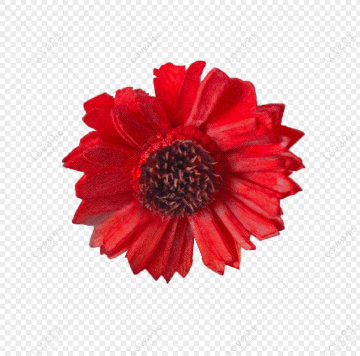 Flores Rojas PNG Imágenes Gratis - Lovepik