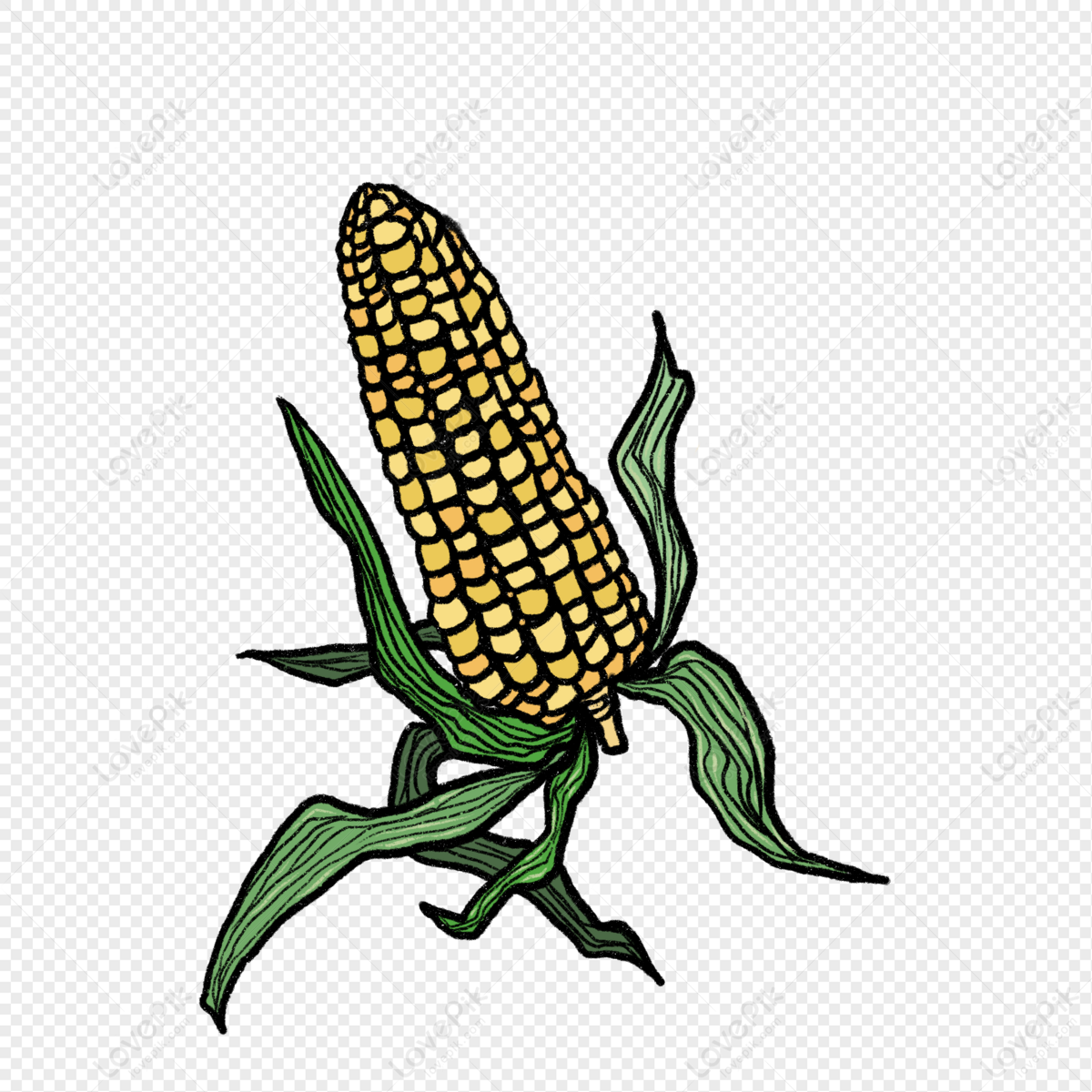 A Corn On The Cob Cartoon Illustration PNG Transparent Background And  Clipart Image For Free Download - Lovepik | 401301860