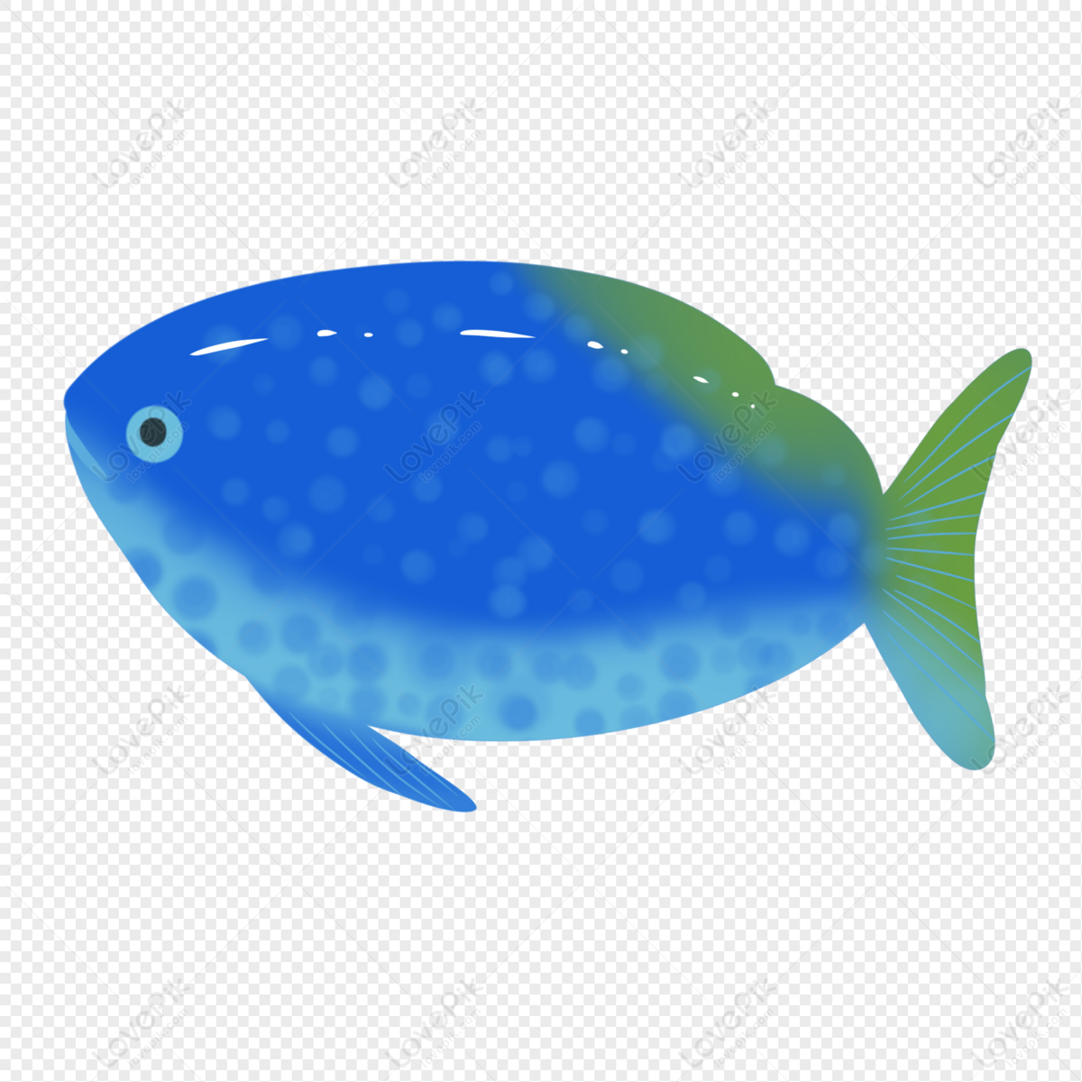 Blue Tropical Fish, Cute Fish, Colorful Fish, Blue Green PNG