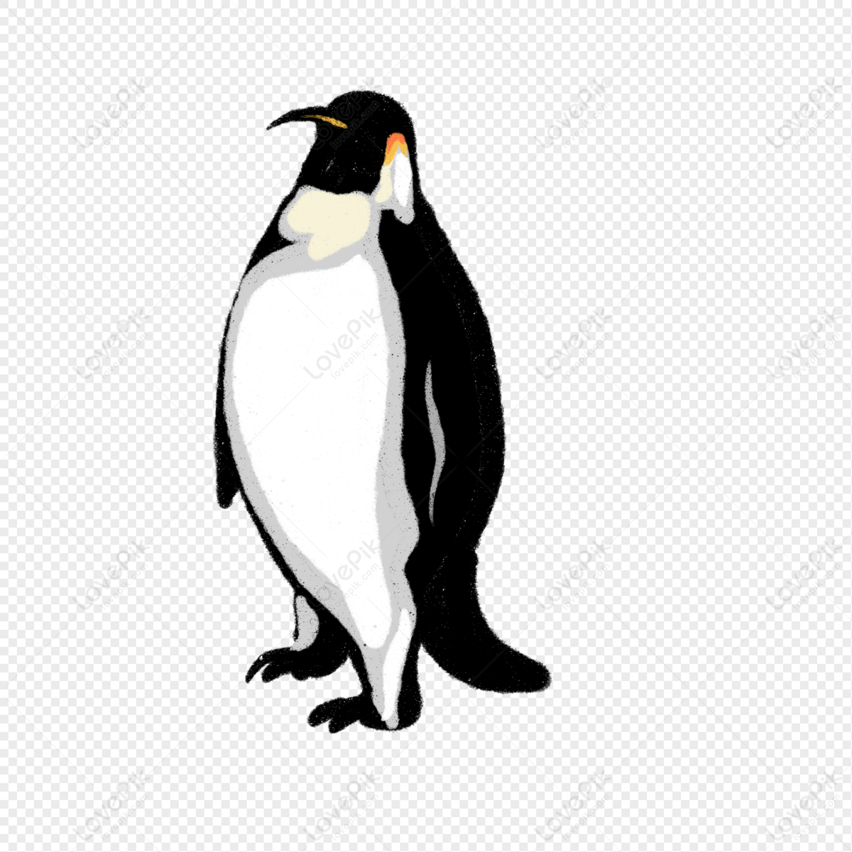 Cartoon Elegant Emperor Penguin Illustration PNG Transparent And Clipart  Image For Free Download - Lovepik | 401300936