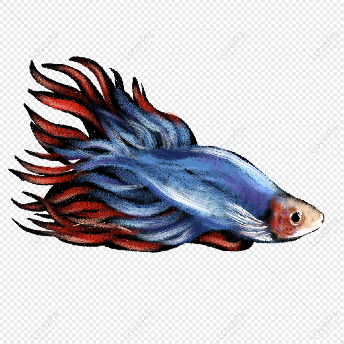 Cartoon Pretty Fish Illustration Free PNG And Clipart Image For Free  Download - Lovepik | 401300639