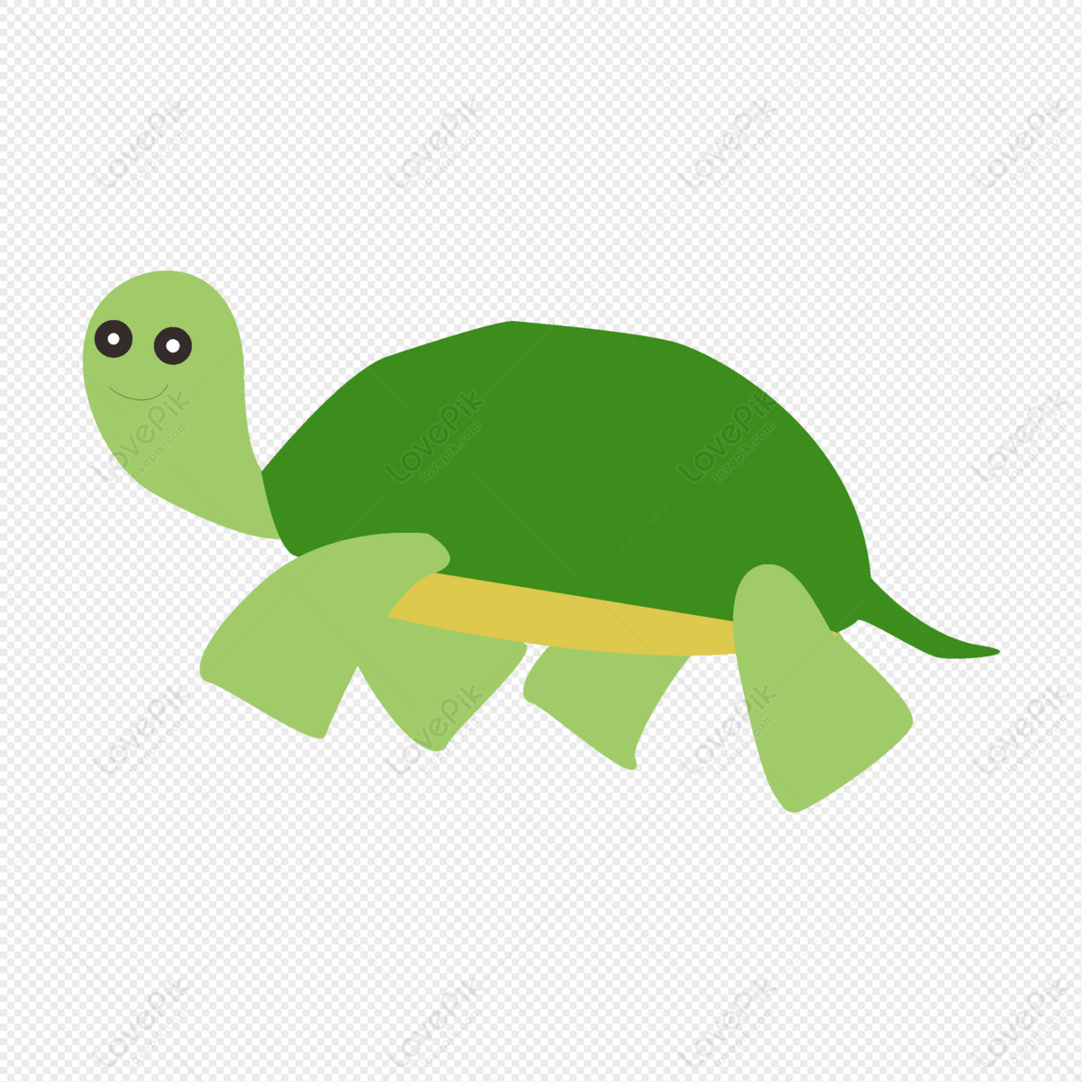 Cartoon Turtle PNG Image Free Download And Clipart Image For Free Download  - Lovepik | 401305301