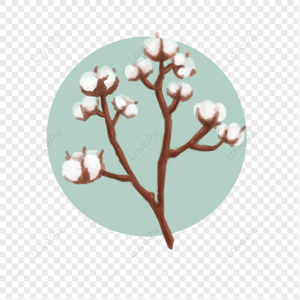 Cotton Picking PNG, Vector, PSD, and Clipart With Transparent