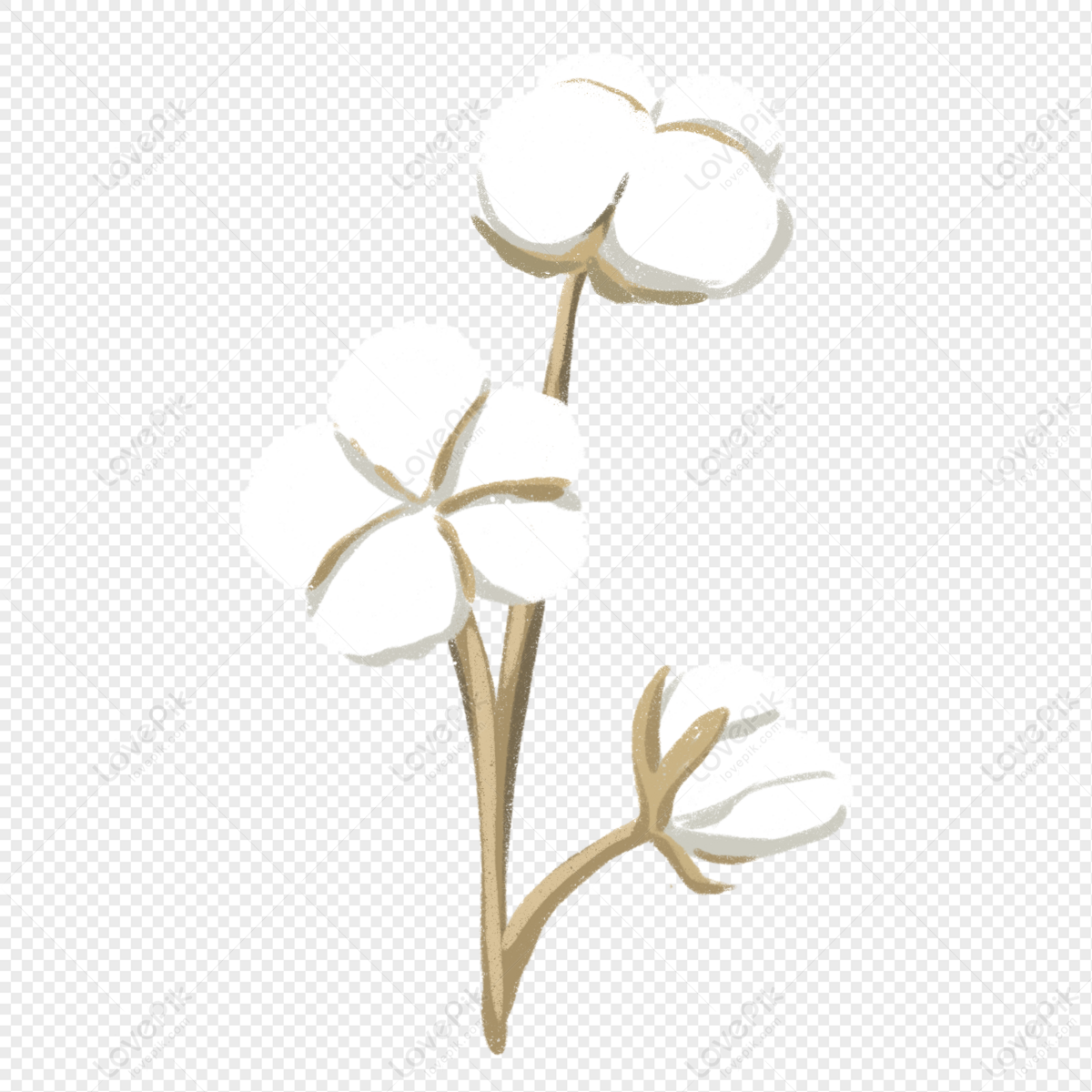 Cotton Free PNG And Clipart Image For Free Download - Lovepik | 401308999