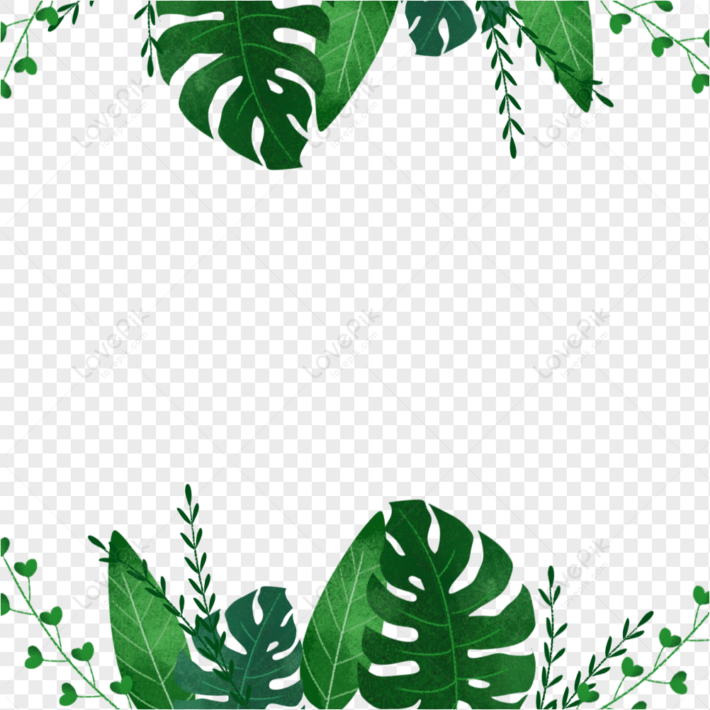 Green Leaf Plant Border Png Image Free Download And Clipart Image For Free  Download - Lovepik | 401319801