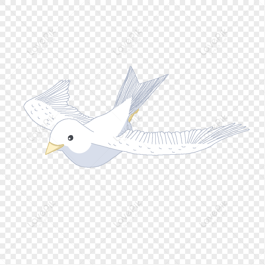 Peace Pigeon PNG Hd Transparent Image And Clipart Image For Free ...