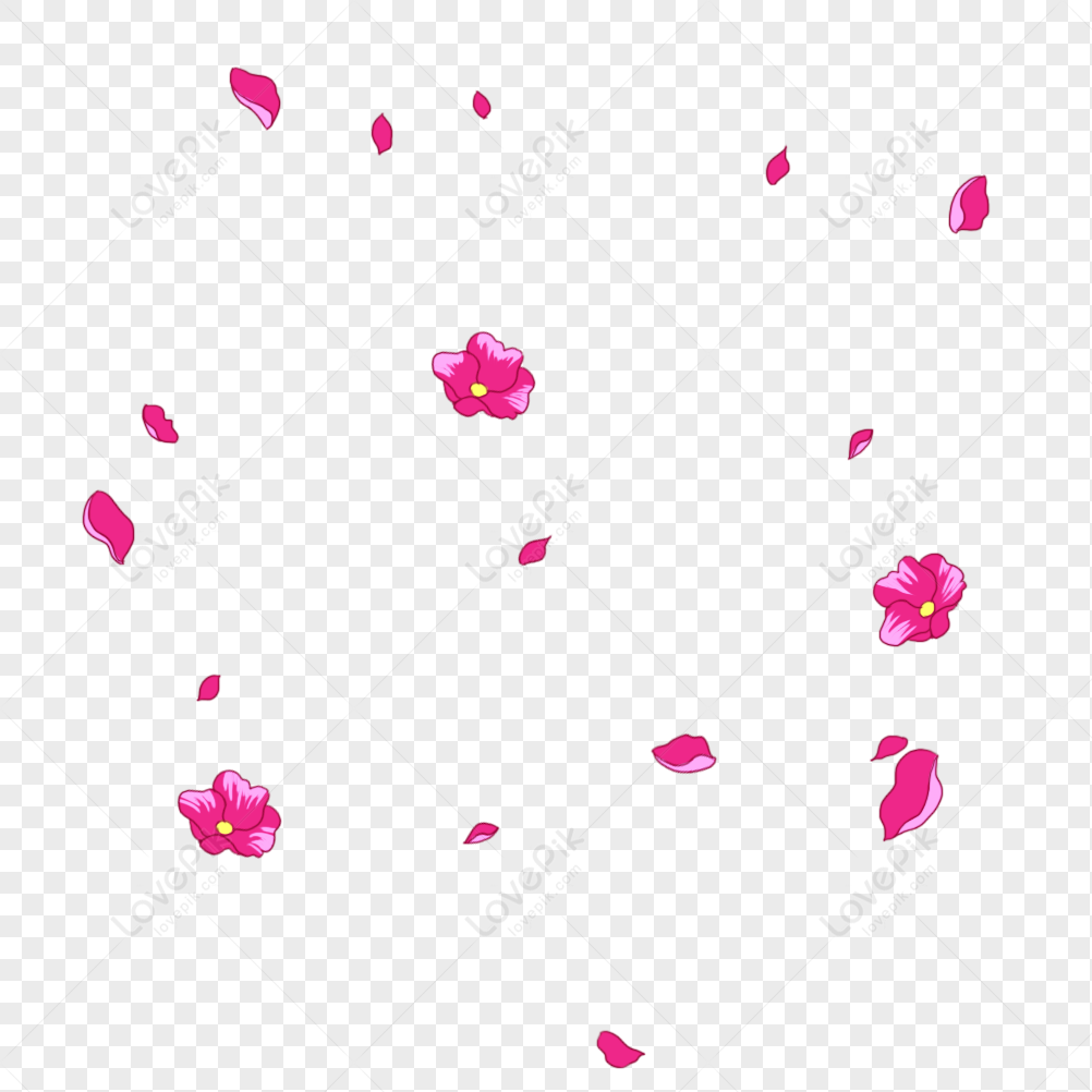 Pink Petals Floating Element PNG Image Free Download And Clipart Image For Free  Download - Lovepik