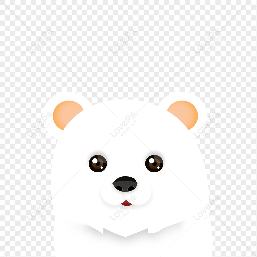 Polar Bear Alpha, HD Png Download(910x480) - PngFind