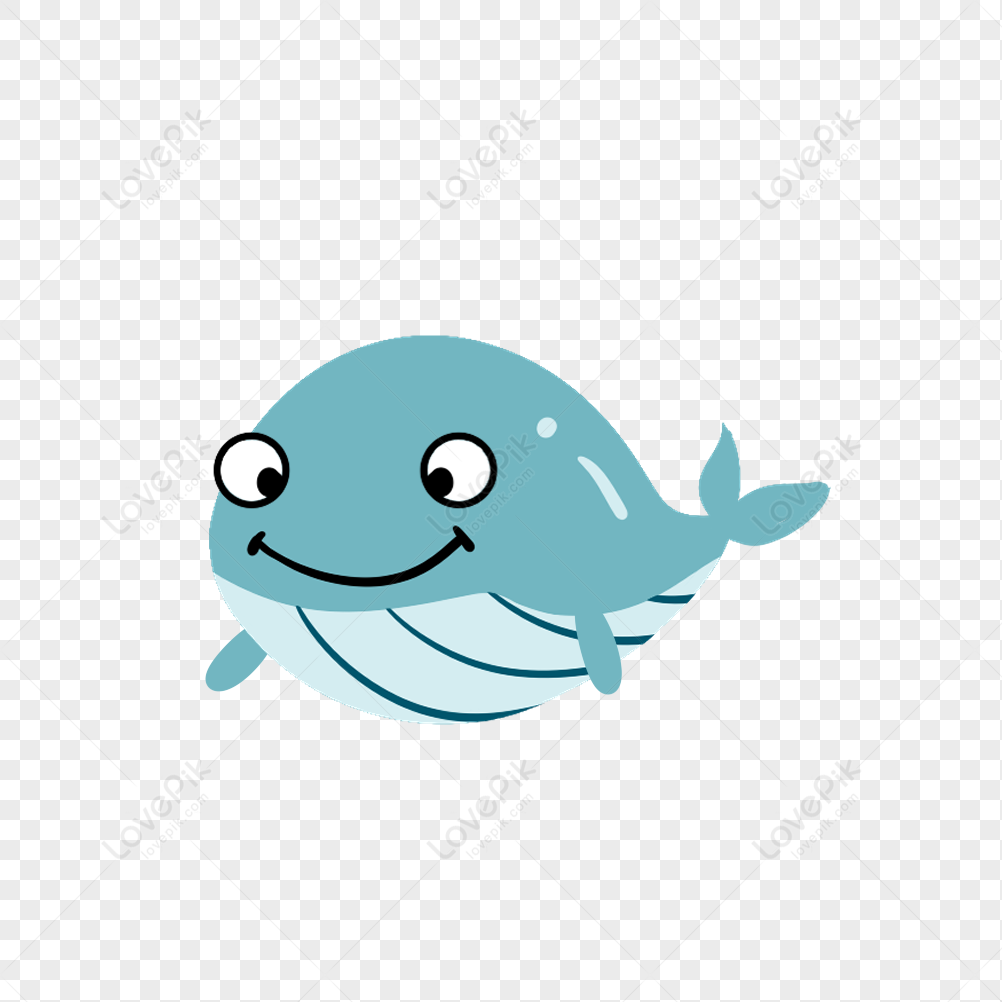 Whale, Vector Whale, Blue Whale, Cartoon Whale PNG Free Download And ...