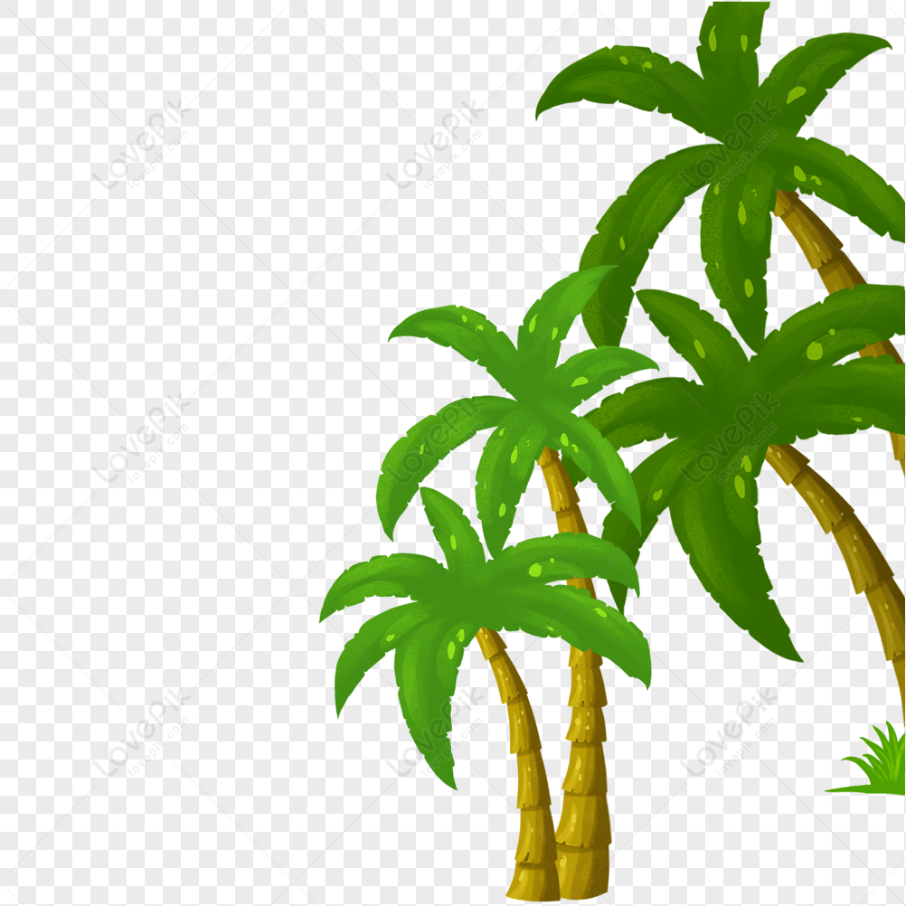 Nếu bạn yêu thích màu xanh mướt của thiên nhiên hay muốn tạo ra bức tranh dễ thương về khu vườn của bạn, hãy xem hình ảnh về cây dừa PNG này để tìm nguồn cảm hứng và hoàn thiện tác phẩm của bạn.