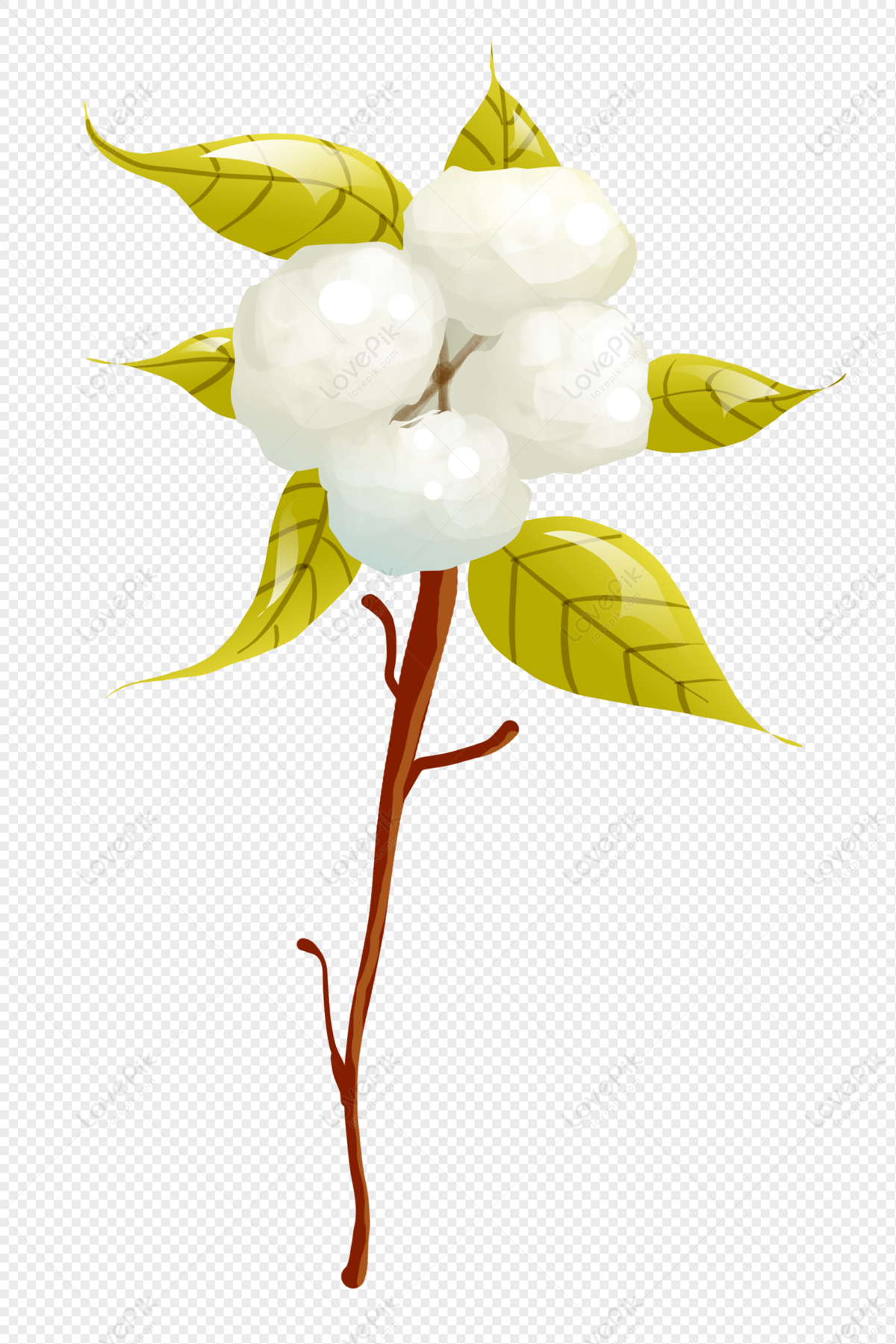 Cotton PNG Transparent Image And Clipart Image For Free Download ...