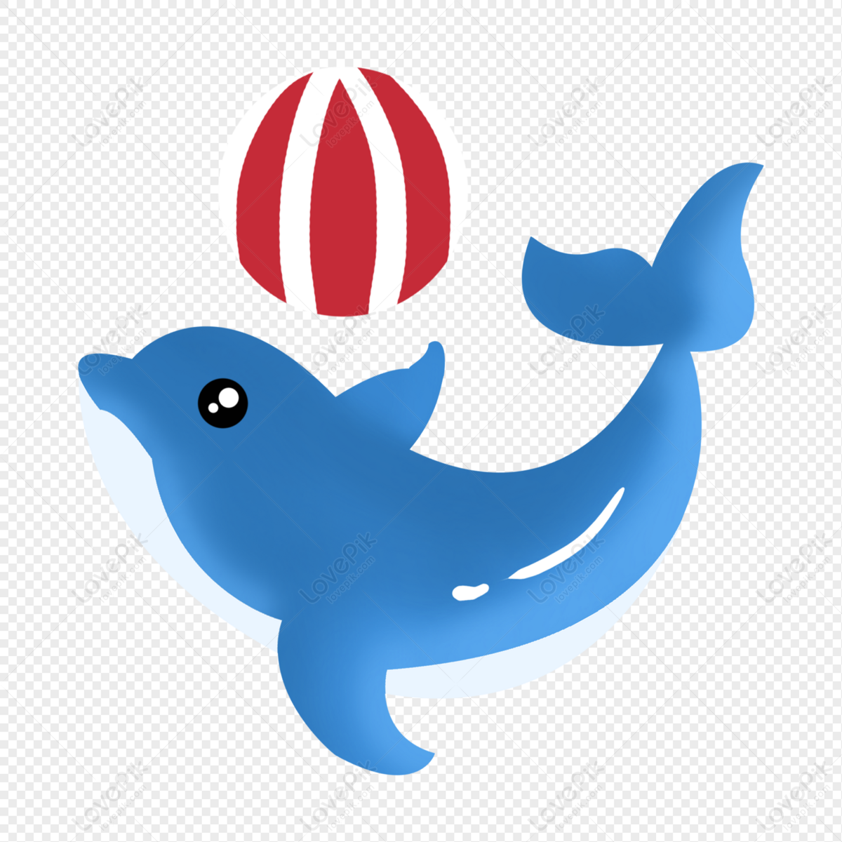 Dolphin Show PNG Image And Clipart Image For Free Download - Lovepik |  401338338