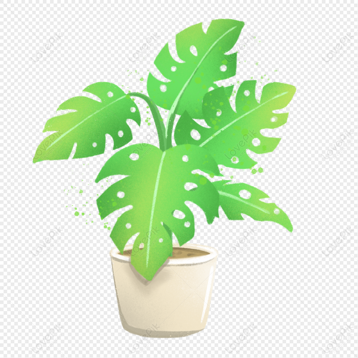 Fresh Summer Plant Monstera PNG White Transparent And Clipart Image For ...