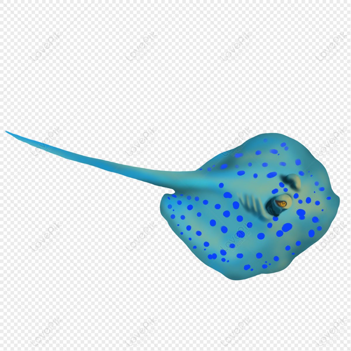 Hình ảnh Vẽ Tay Cá Hồi Biển PNG Miễn Phí Tải Về - Lovepik
