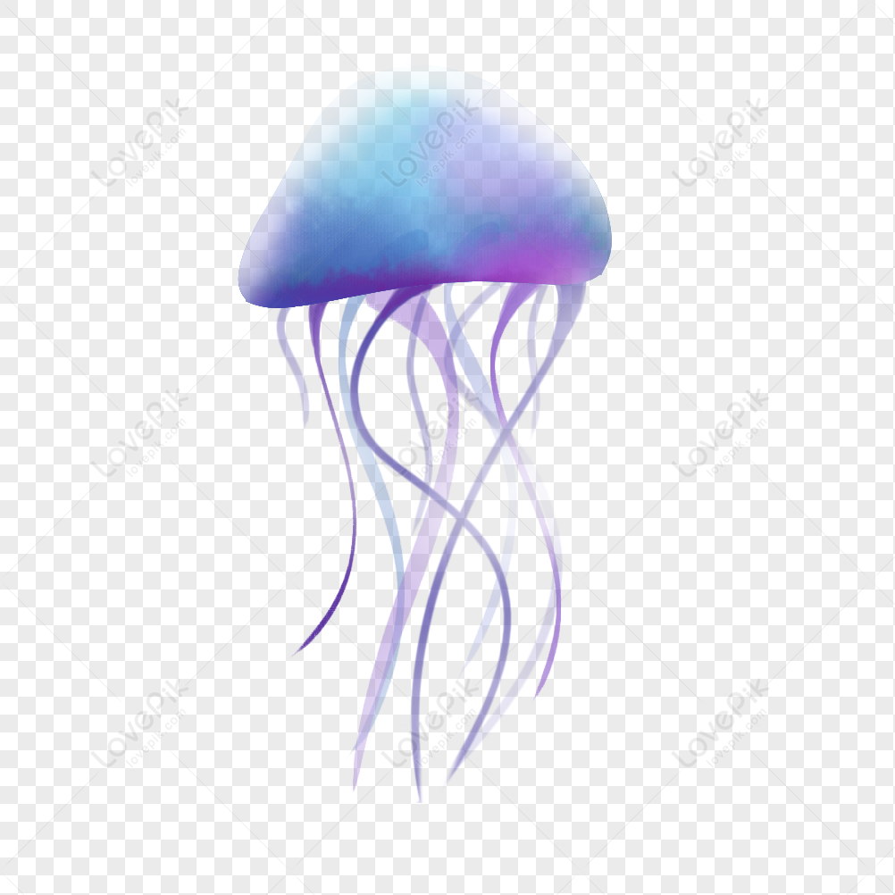 Jellyfish PNG Image Free Download And Clipart Image For Free Download ...