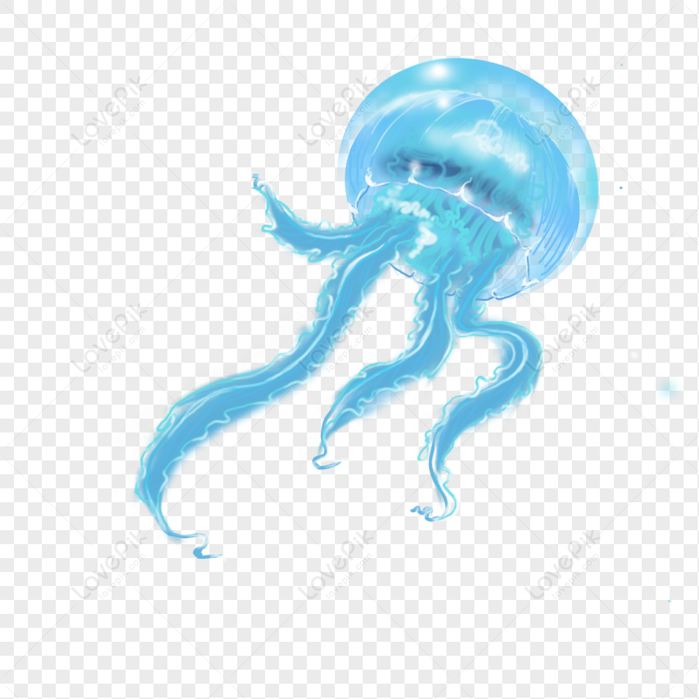 Jellyfish, Blue Jellyfish, Blue Light, Medusa Head PNG Image And ...