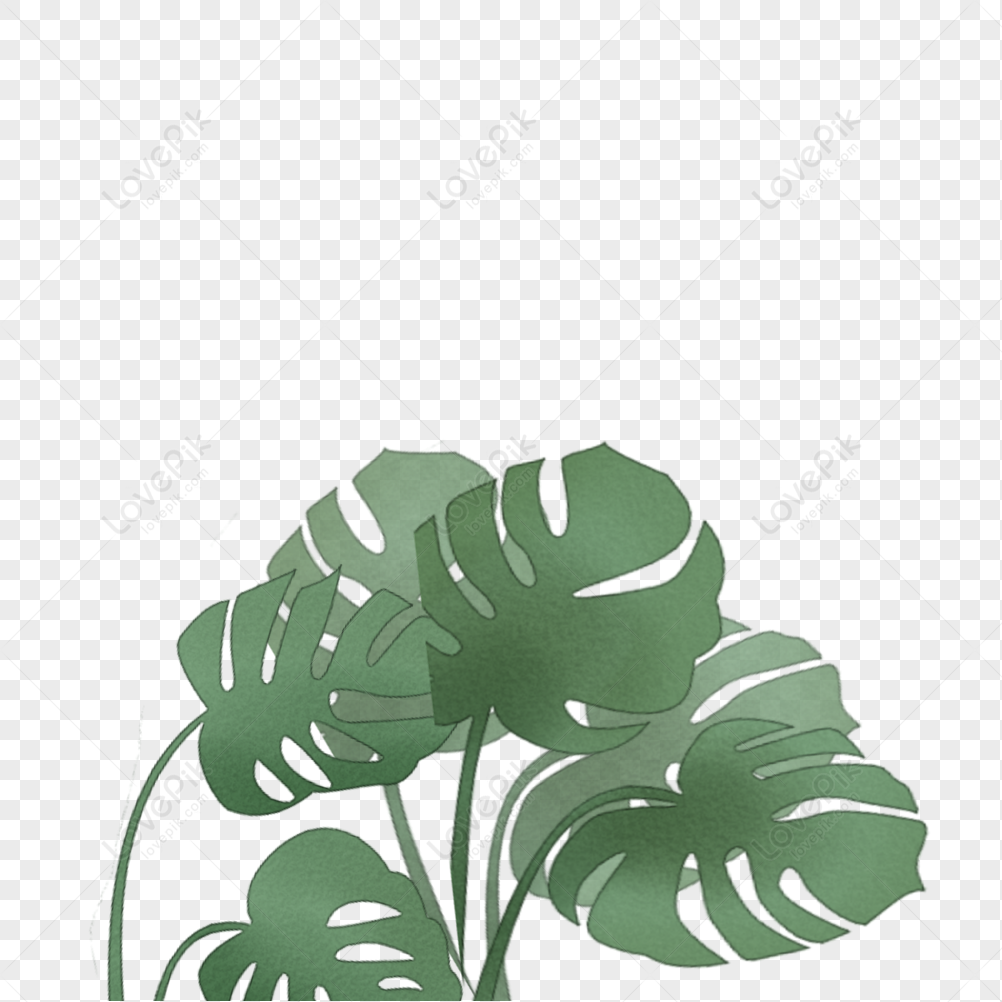 Leaves PNG White Transparent And Clipart Image For Free Download ...