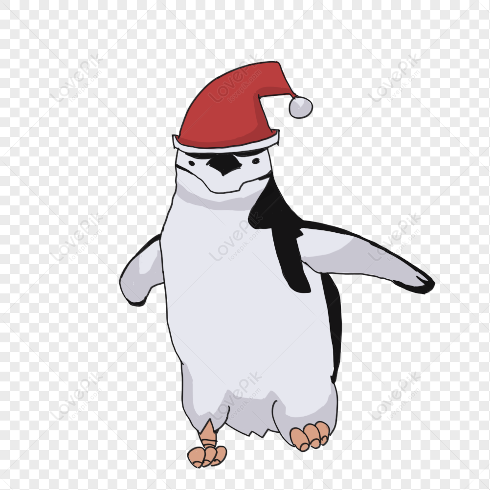 Penguin Free PNG And Clipart Image For Free Download - Lovepik | 401326299