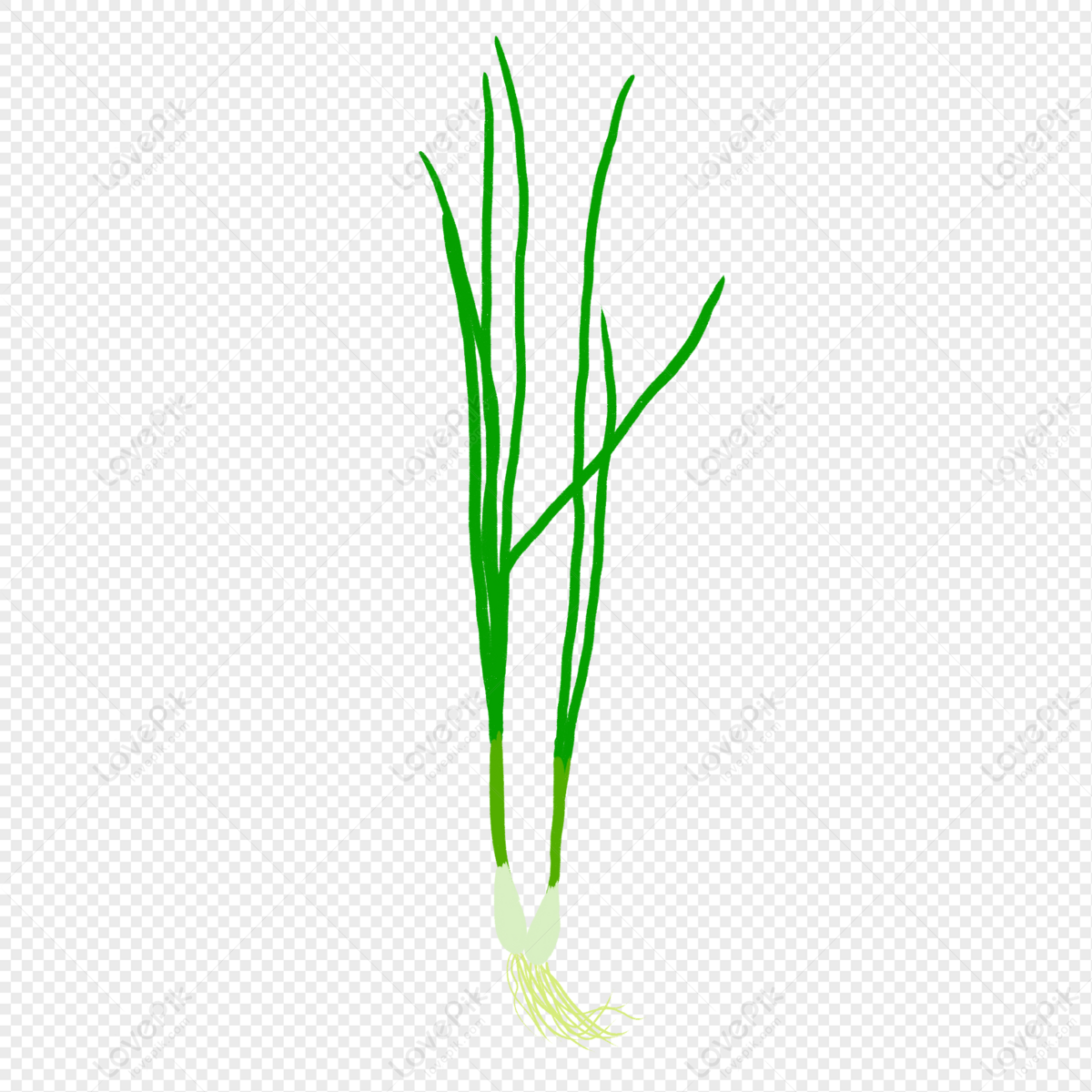 Shallot PNG Picture And Clipart Image For Free Download - Lovepik ...